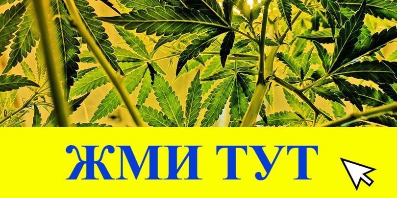 Купить наркотики в Ахтубинске